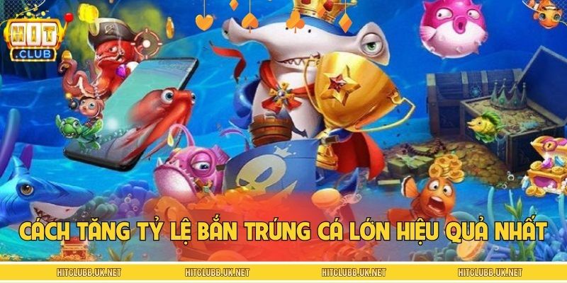 Bật mí cách tăng tỷ lệ bắn trúng cá lớn hiệu quả nhất