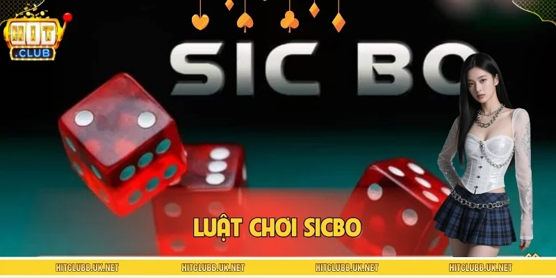 Luật Chơi Sicbo - Hướng Dẫn Cơ Chế Cược Từ A-Z Cho Newbie