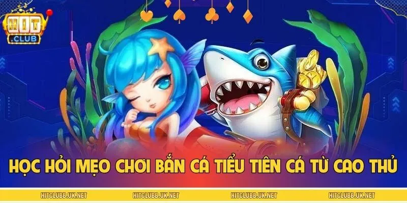 Học hỏi mẹo chơi Bắn cá tiểu tiên cá hiệu quả từ các cao thủ