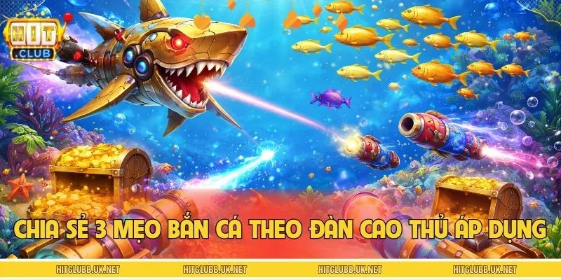 Chia sẻ 3 mẹo bắn cá theo đàn cao thủ áp dụng thành công