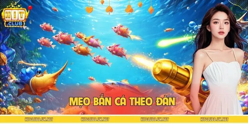 Mẹo Bắn Cá Theo Đàn Tối Ưu Đạn Và Dễ Thắng Lớn Tại HITCLUB