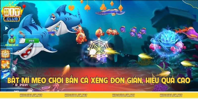 Bật mí mẹo chơi bắn cá xèng đơn giản, hiệu quả cao