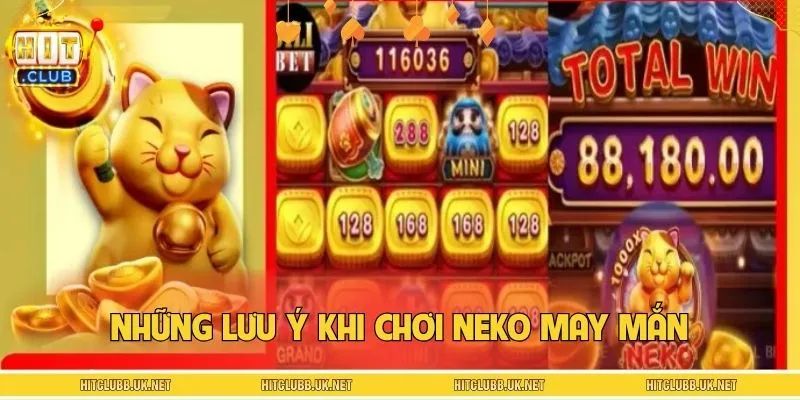 Cẩm nang giúp bet thủ giải trí chuẩn mực